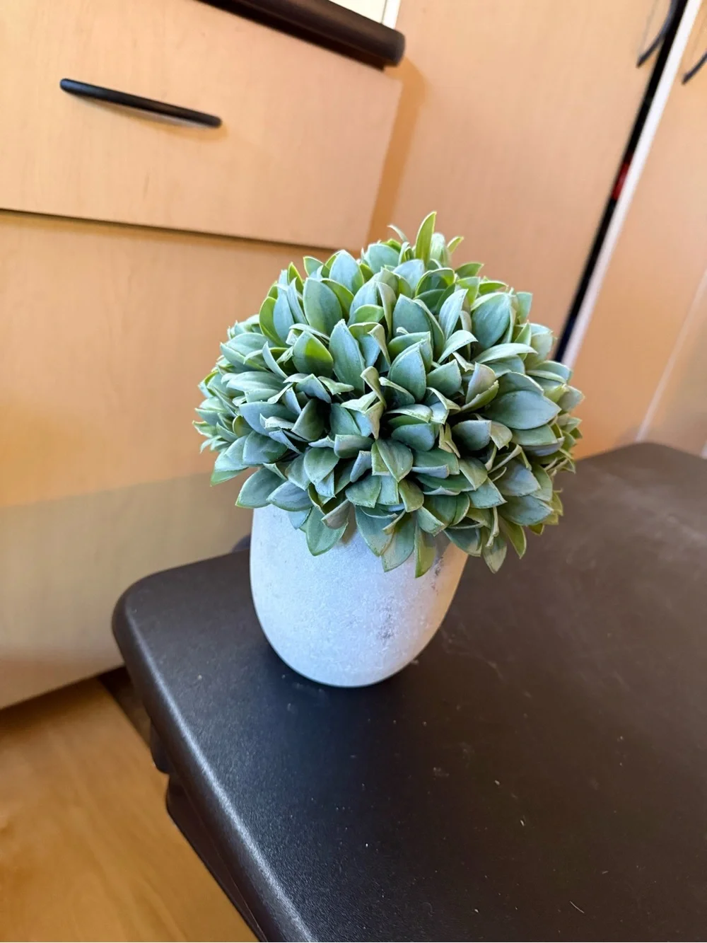 Artificial Succulent Topiary in Green with White Pot - Home Accents